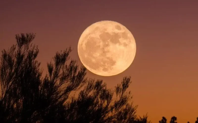 موعد استطلاع هلال شوال وعدد أيام رمضان 2026 فلكيًا